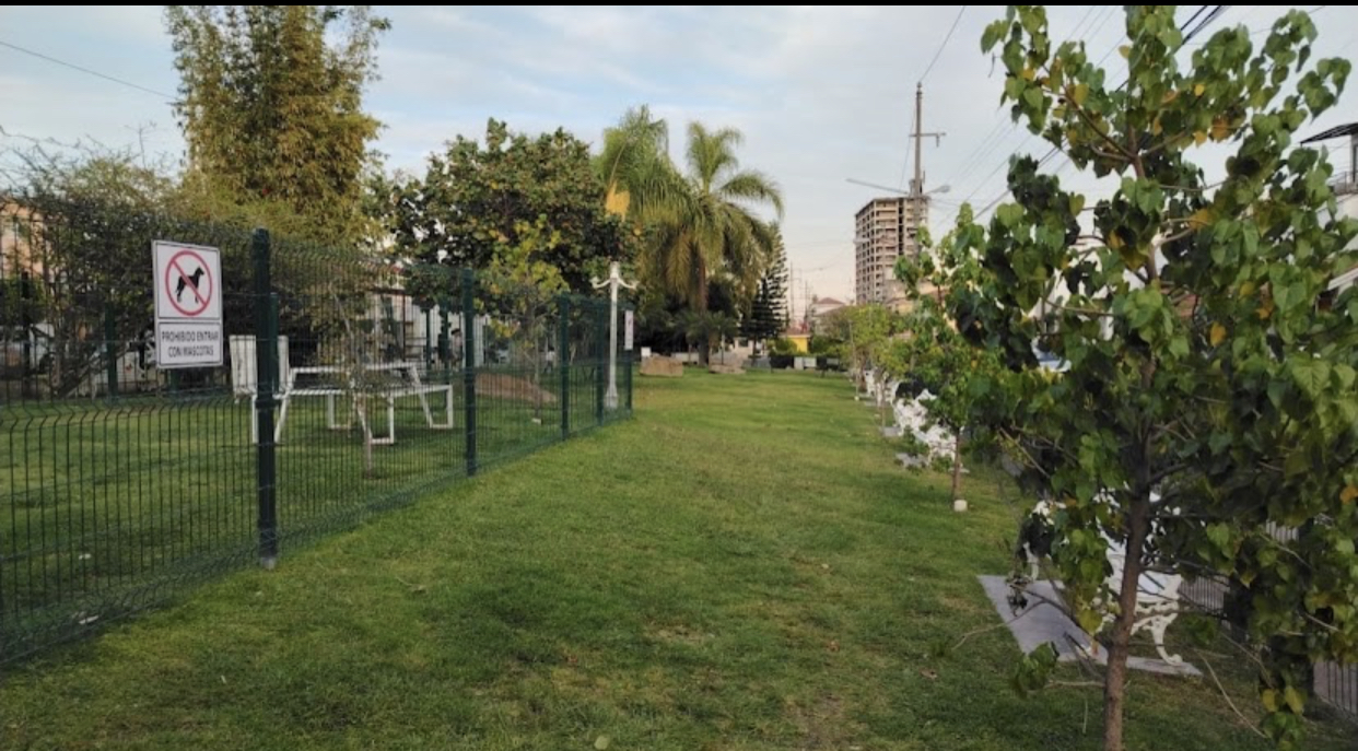 Disp 20 sep excelente ubicación Gpe y Tepeyac 3 rec