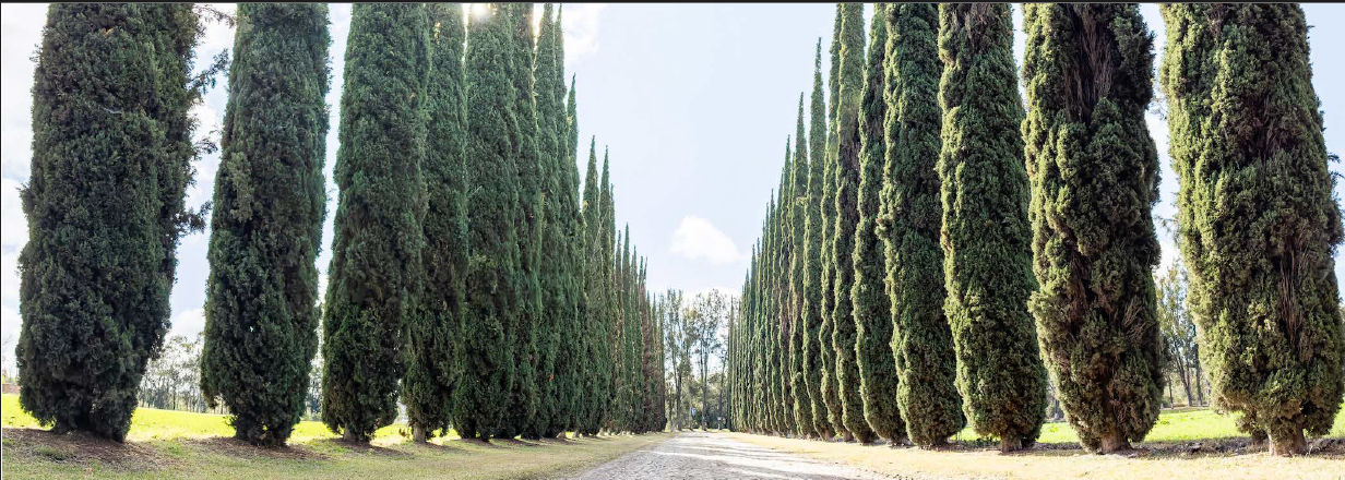 TERRENOS EN VENTA (CAÑADAS DEL VALLE, CAÑADAS DE ARROYO Y SIMATÉ — foto 3