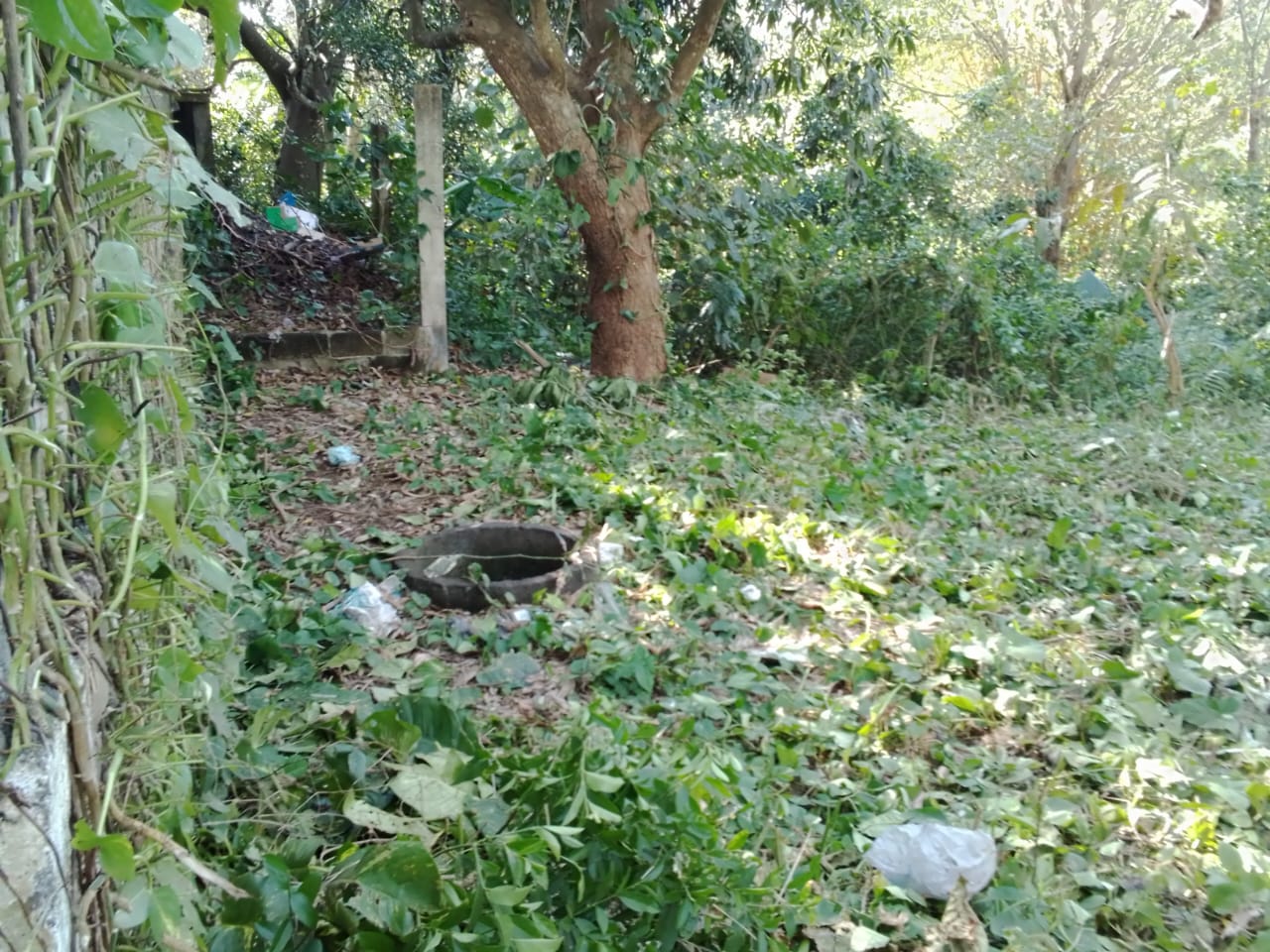 Terreno en venta en Angel R, Cabada, ver. — foto 6