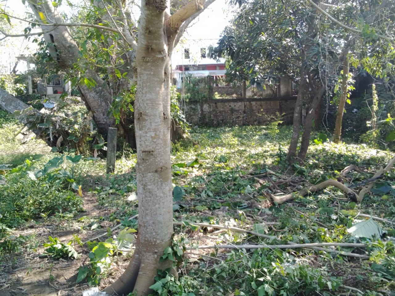 Terreno en venta en Angel R, Cabada, ver. — foto 2