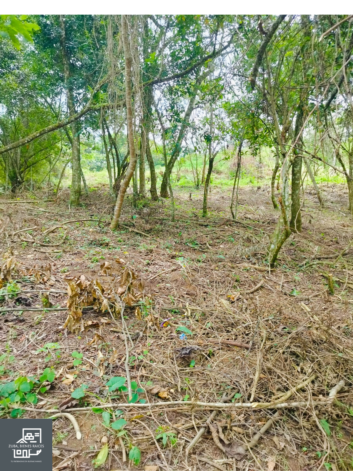 Terreno en venta en camino a Rancho Viejo, Municipio de San Andres Tlanelhuayocan, ver. — foto 7
