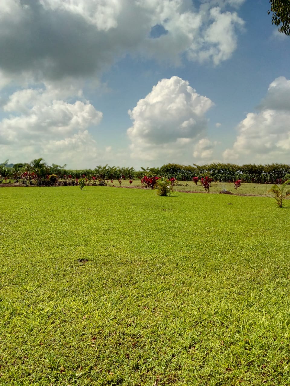 Terreno en Venta en Angel R, Cabada, Ver. — foto 2