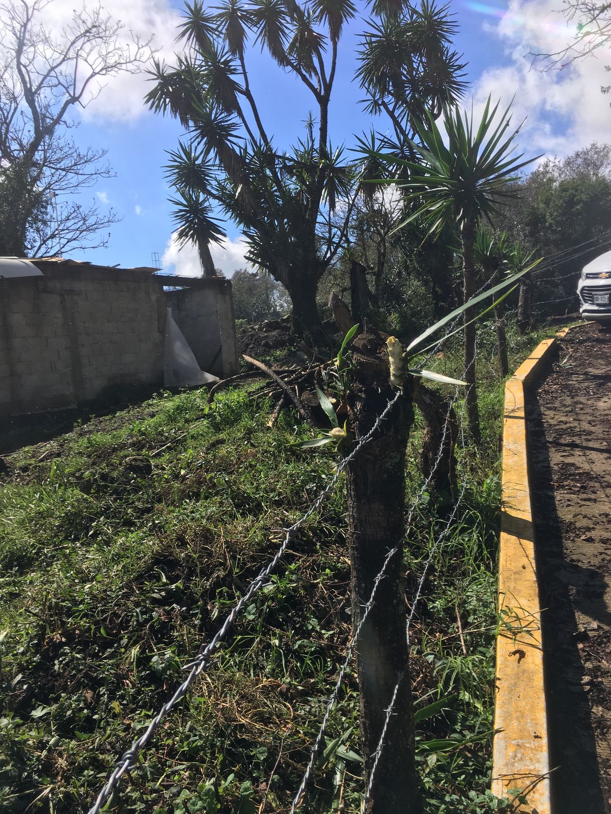 Terreno en venta en la cabecera Municipal de Rafael Lucio, Ver. — foto 2