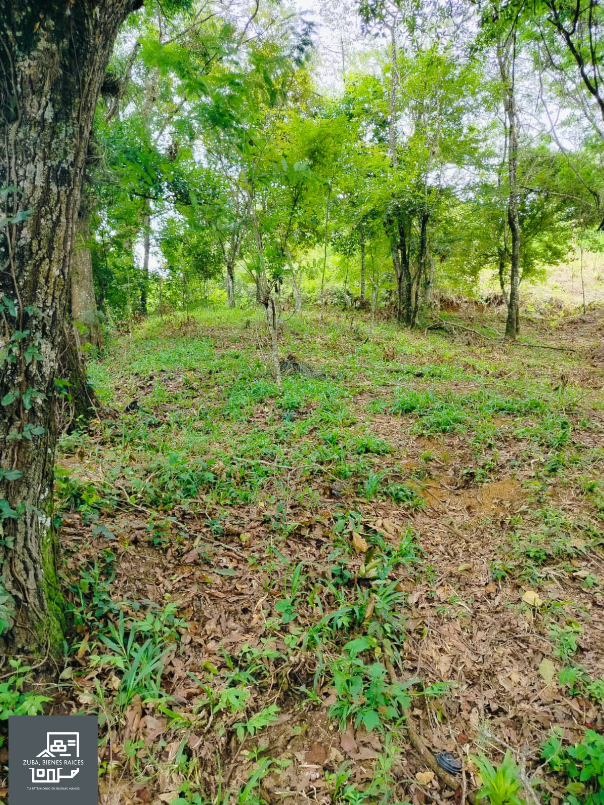 Terreno en venta en camino a Rancho Viejo, Municipio de San Andres Tlanelhuayocan, ver. — foto 4