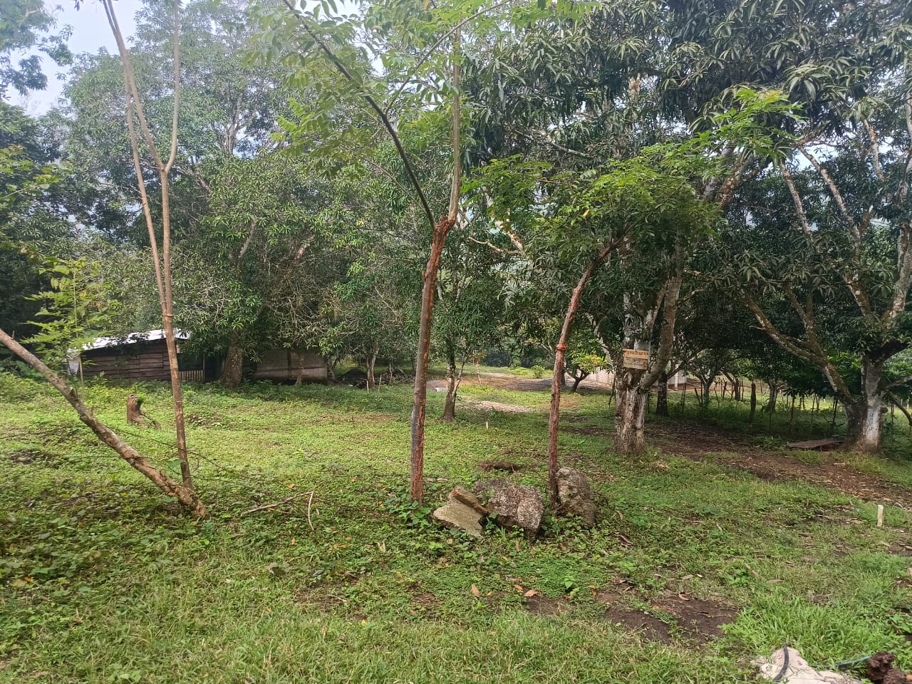 Terrenos en venta en San Andres Tuxtla, Ver. aun costado de la Colonia Benito Juarez