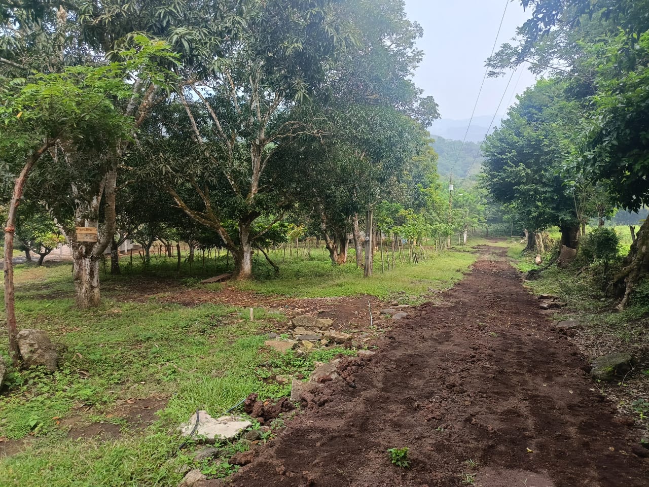 Terrenos en venta en San Andres Tuxtla, Ver. aun costado de la Colonia Benito Juarez — foto 4