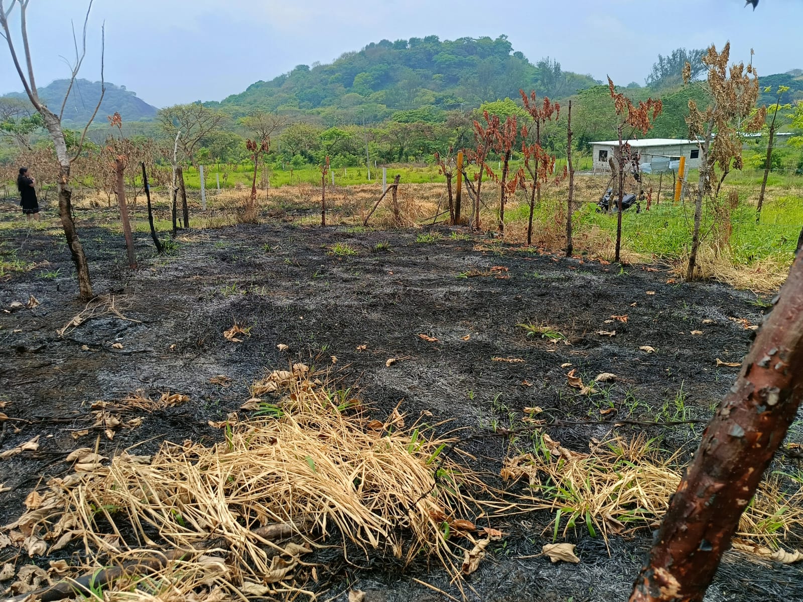 Terreno en venta, en Colonia Cacahuateno, Catemaco, ver. — foto 4