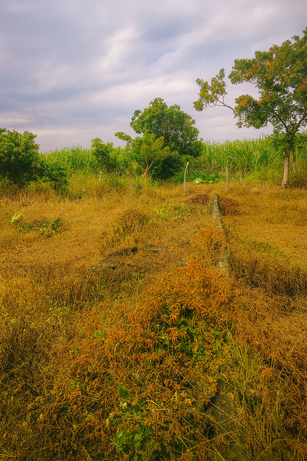 Venta de Terreno, en la comunidad de la  pocheta(Santa Teresa), Lerdo de Tejada, Ver. — foto 3