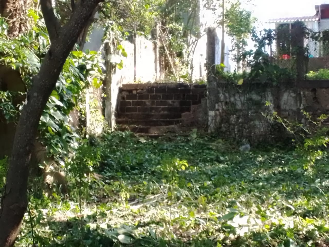 Terreno en venta en Angel R, Cabada, ver. — foto 3
