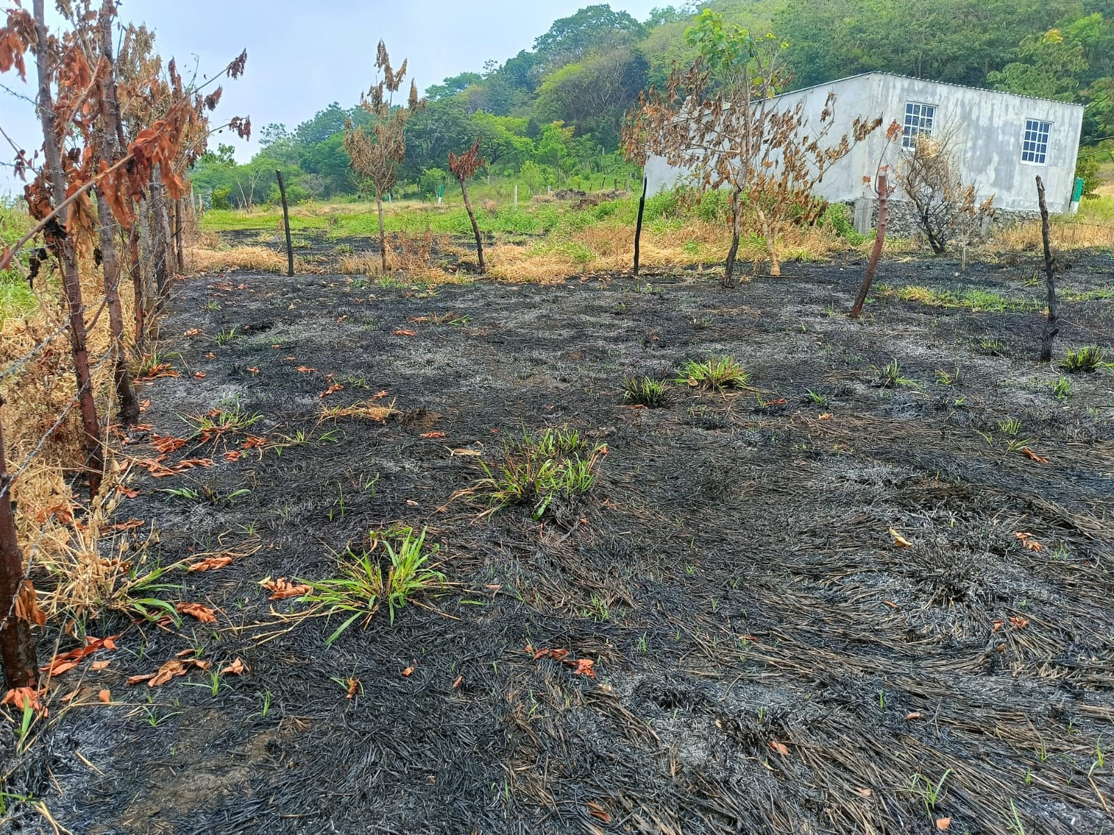 Terreno en venta, en Colonia Cacahuateno, Catemaco, ver.