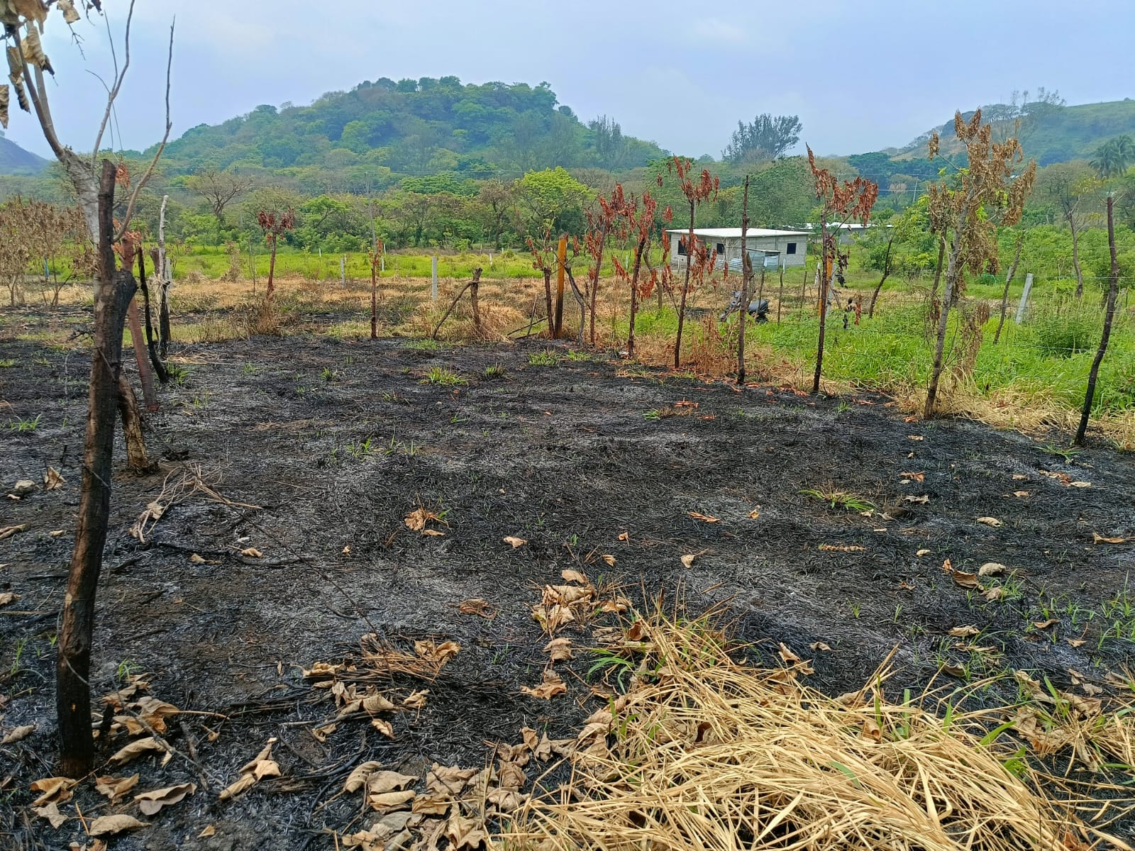 Terreno en venta, en Colonia Cacahuateno, Catemaco, ver. — foto 3