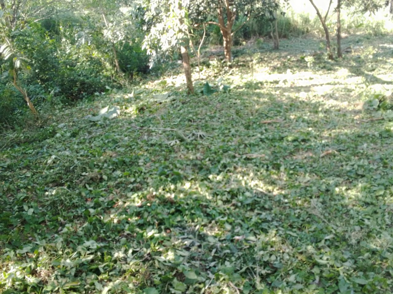 Terreno en venta en Angel R, Cabada, ver.