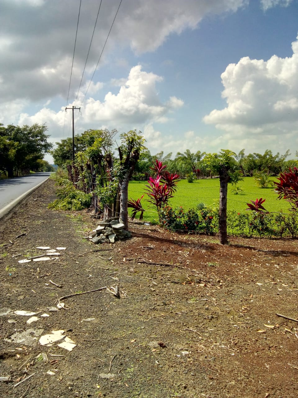 Terreno en Venta en Angel R, Cabada, Ver. — foto 3