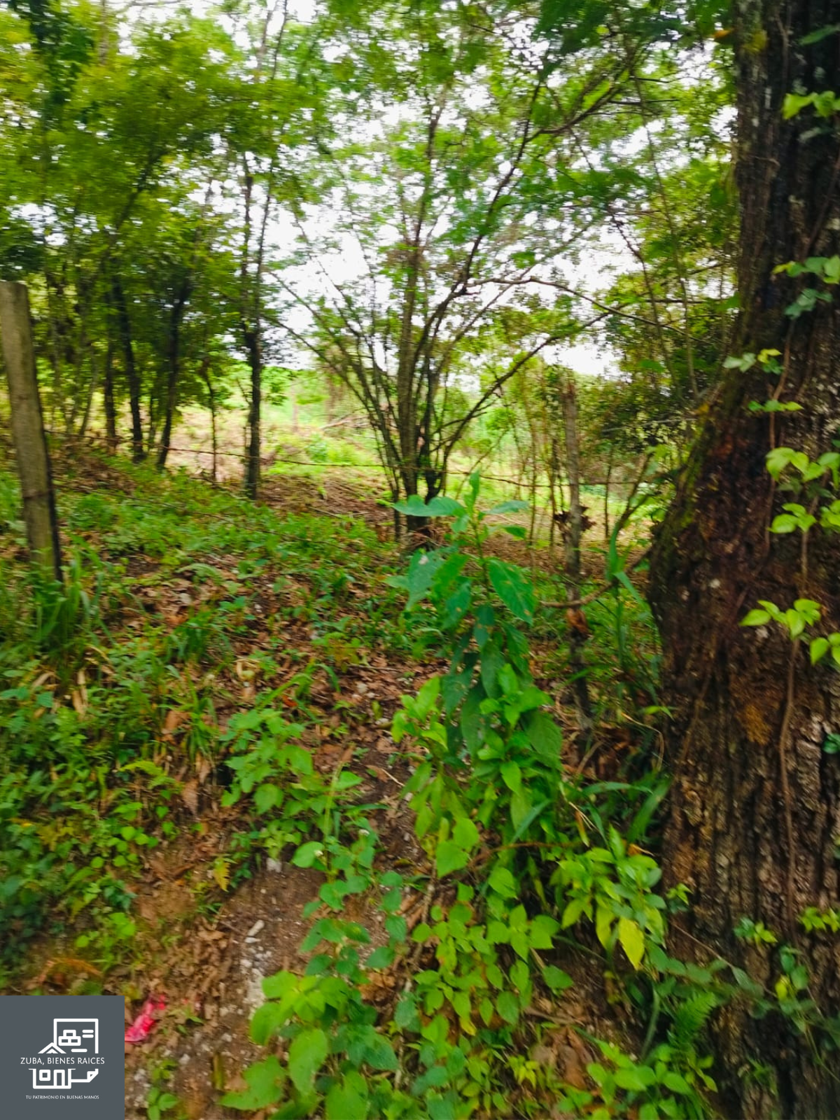 Terreno en venta en camino a Rancho Viejo, Municipio de San Andres Tlanelhuayocan, ver. — foto 2