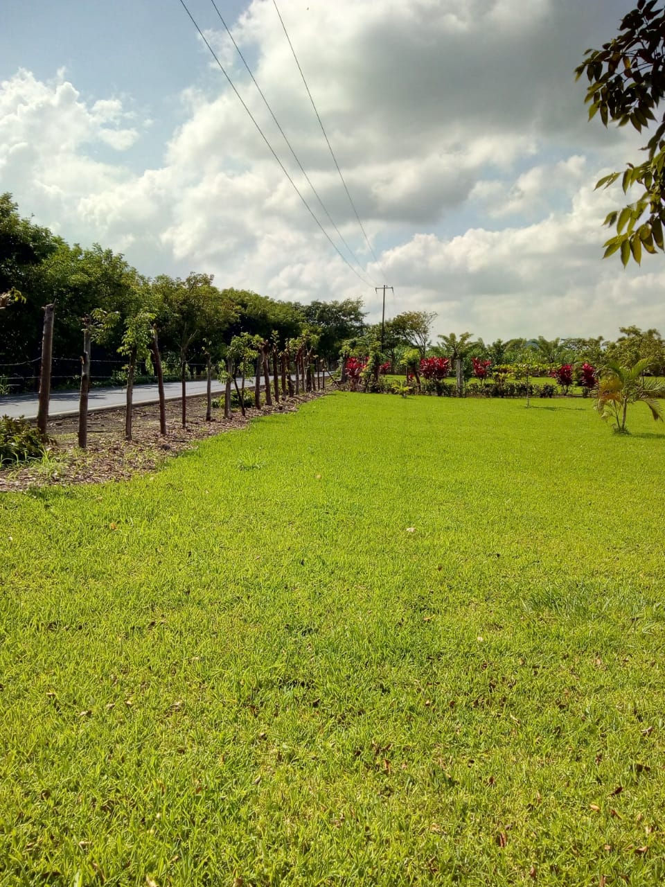 Terreno en Venta en Angel R, Cabada, Ver.