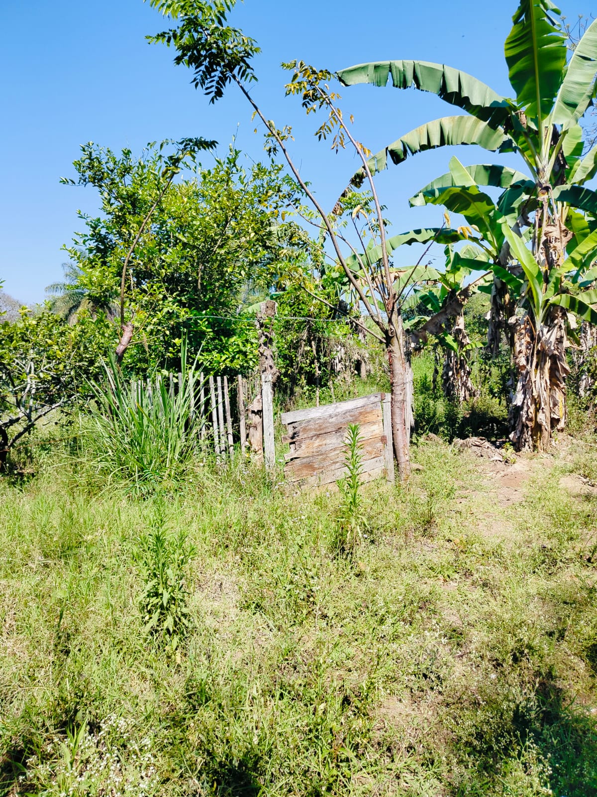 Terreno en Venta, en la comunidad de la Bella Esperanza, Municipio de Coatepec, Ver.