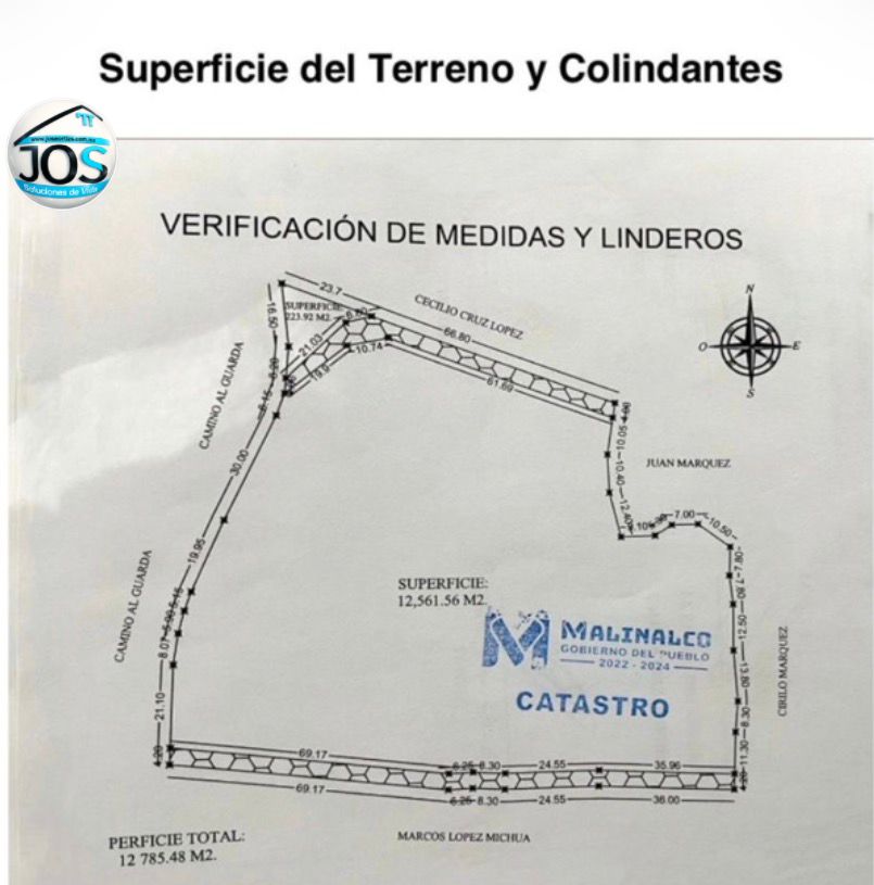 INVERSIÓN QUE DA FRUTOS… LITERALMENTE — foto 5