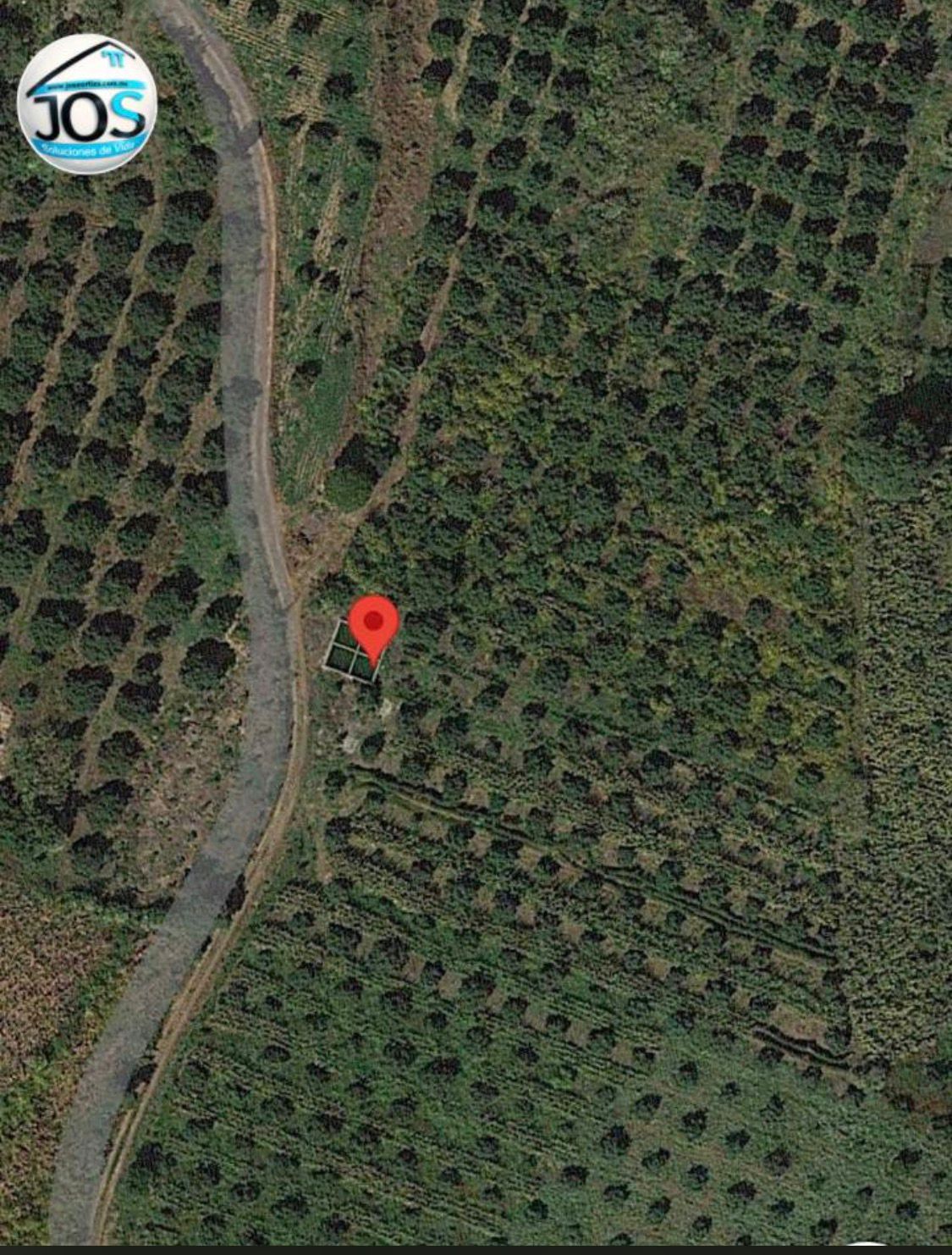 INVERSIÓN QUE DA FRUTOS… LITERALMENTE — foto 4